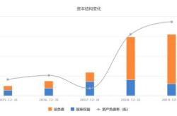 锂价寒冬缩影：龙头天齐锂业海外遇阻