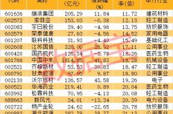 微光股份上半年营收稳中有增境内销售收入增超一成