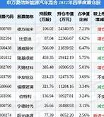 申万菱信沪深300价值