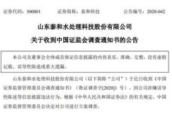 金安国纪业绩补偿承诺人朱晓东被通报批评，未支付万元补偿款