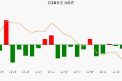 飞龙股份东方财富网