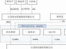 江苏阳光财报分析