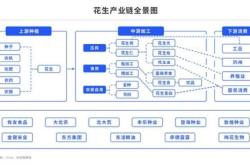 1.理解市场动态