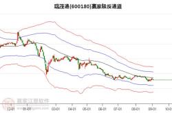 瑞茂通trader