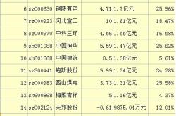 广西河池化工集团