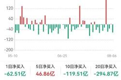 公司概况与行业地位