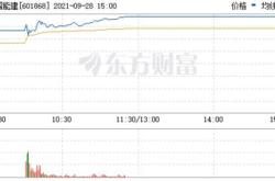 赛轮股票下一步的走势