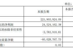 海南椰岛股票行情分析