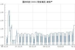 国农科技股票财经方面怎么样