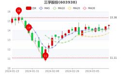 宏维集团有限公司