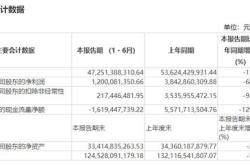 宝盈科技30混合基金00.0698净值