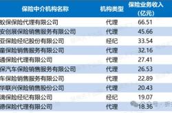 做了几年保险代理人负债累累