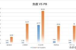 深度解析，罗牛山股票的投资价值与未来展望