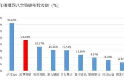 深度解析基金121007，投资策略与市场表现分析