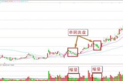 掌握股票600737，深度解析与实战策略指南