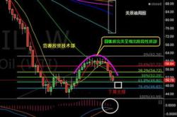 深度解析，600538股票投资攻略——从基本面到技术面的全面指南