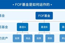 网络科技基金