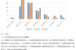 基石稳固，深度解析石基信息——挖掘数字化转型的稳健力量