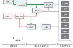 深度解析，天齐锂业——走进新能源领域的璀璨明珠