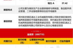 全面指南，新股申购的深度解析与实战策略