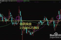 深度解析，600186股票投资攻略——从入门到精通