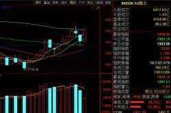 深度解析与投资指南，零零一五五股票——探索价值与成长的秘密