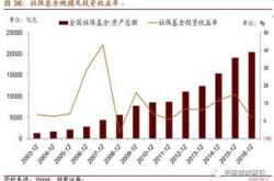 深度解析，零六七三股票的投资攻略与未来展望