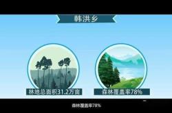 探索北大荒的绿色宝藏: 一探究竟的股票投资之旅