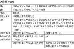 网上申购基金，费用与策略全解析