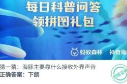 生物科技的瑰宝，探索生物制药板块的奇妙之旅