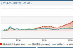 探索投资之路，深度解析嘉实成长基金的策略与价值