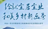 今年中央一号文件释放的新信号，乡村振兴的强力推动与未来展望