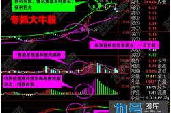 炒股软件指南针，股市新手的导航工具