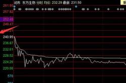 分时线底部结构形成