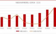 深度解析，探秘股票002535—从新手到投资高手的导航指南