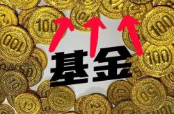 风险等级最低的基金