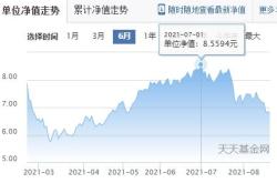 消费白酒基金etf