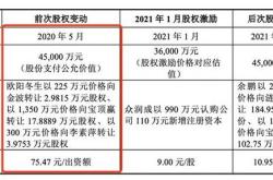 大股东低价变卖公司资产案例