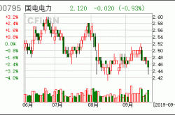 国电集团股票分析与投资建议