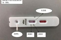 抗原检测试剂盒多少钱