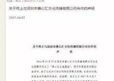 艺术基金会是怎么运作的