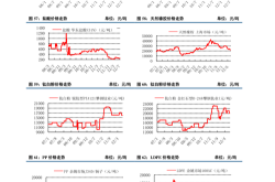 龙头股票概述