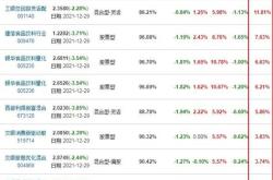 今年基金排行榜