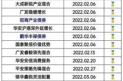 招商丰盈积极配置混合型基金