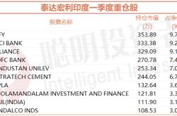 华夏全球精选股票型证券投资基金