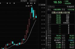 神奇制药 参加2020年上海辖区上市公司集体接待日