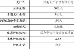 河南两平台公司成功注册亿元债务融资工具地方经济发展的新动力