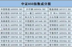 中广核技股价飙升，银华中证增强策略基金重仓背后的投资逻辑解析