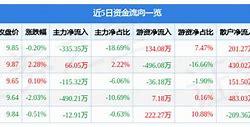 深赛格主力资金净买入分析市场动态与投资策略