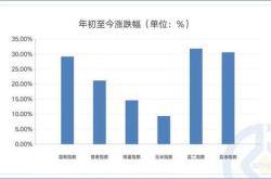 智慧之选跟随哈克的脚步，稳健理财新篇章